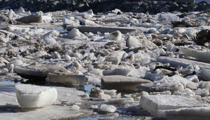 March 8, 2026 Ice Jam Ganaraska River0387