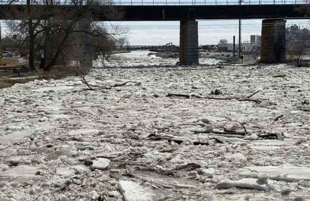 March 8, 2026 Ice Jam Ganaraska River0390