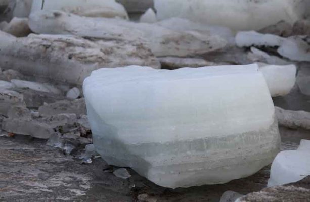 March 8, 2026 Ice Jam Ganaraska River0393