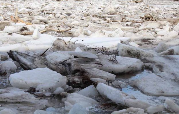 March 8, 2026 Ice Jam Ganaraska River0394