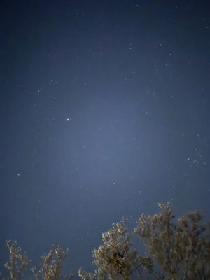 March 8, 2026 Stars Night Sky Pier Cobourg0431 – Copy