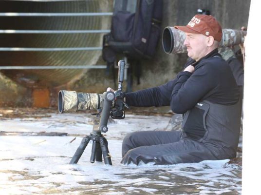 Apri 3, 2026 Photo Trout 0515