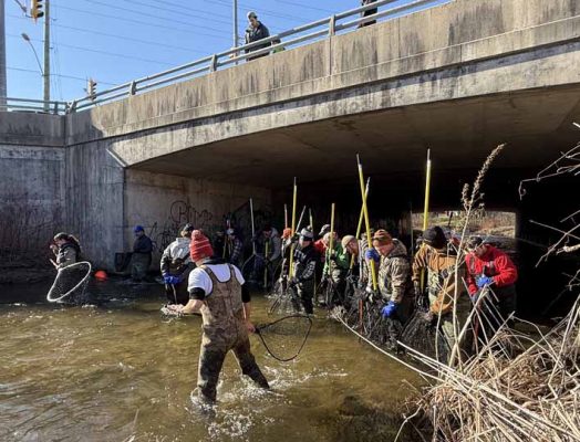 April 11, 2026 The Mill Pratts Pond Fish Lift Cobourg 0802