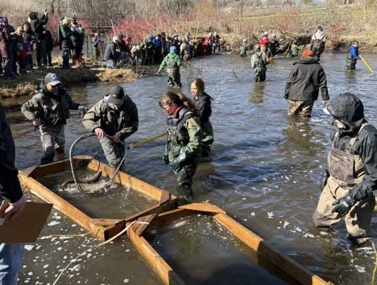 April 11, 2026 The Mill Pratts Pond Fish Lift Cobourg 0805