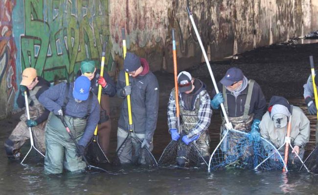 April 11, 2026 The Mill Pratts Pond Fish Lift Cobourg 0810