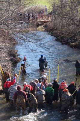 April 11, 2026 The Mill Pratts Pond Fish Lift Cobourg 0811