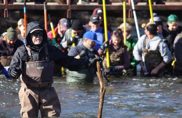 April 11, 2026 The Mill Pratts Pond Fish Lift Cobourg 0816