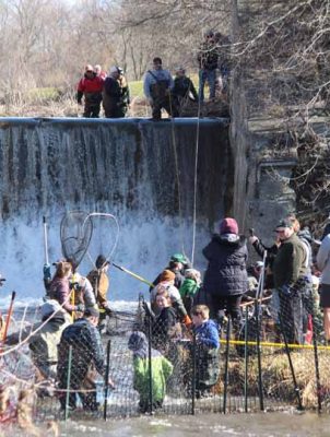 April 11, 2026 The Mill Pratts Pond Fish Lift Cobourg 0829