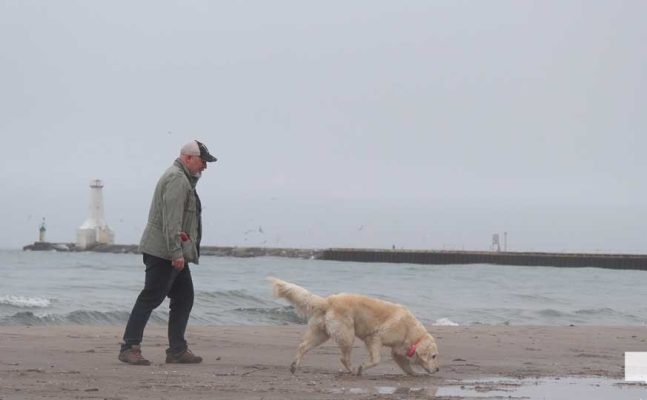 April 15, 2026 Dogs Victoria Beach Cobourg 0886