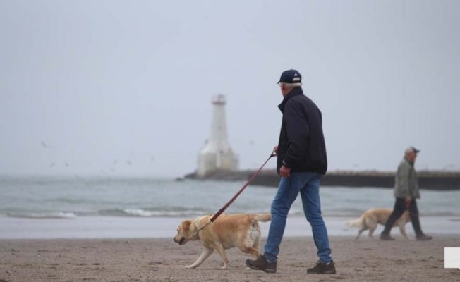 April 15, 2026 Dogs Victoria Beach Cobourg 0888