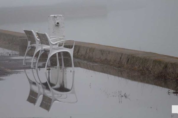 April 15, 2026 Fog 0896