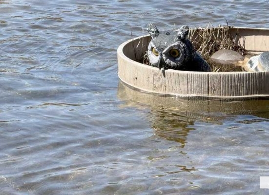 April 17, 2026 Flooding Hastings1018