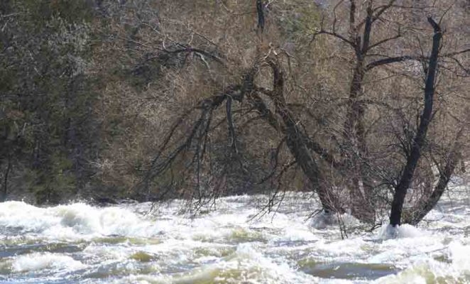 April 17, 2026 Trent Severn Campbellford Splashing Water1009