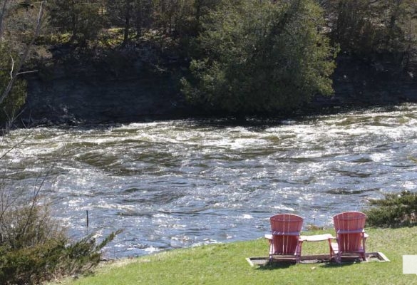 April 17, 2026 Trent Severn Locks 11 12 Ranney Falls Campbellford 0992