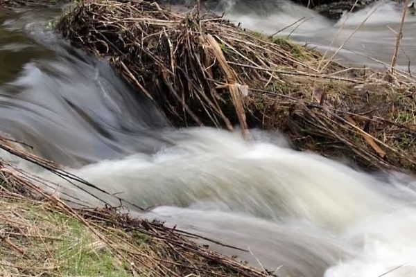 April 19, 2026 Nawautin Sanctuary water1112