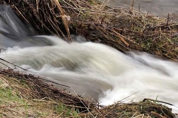 April 19, 2026 Nawautin Sanctuary water1113