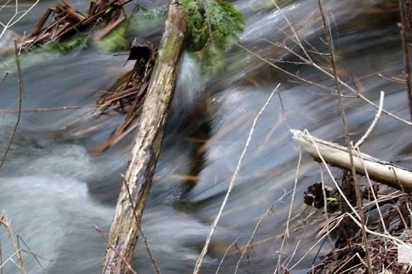 April 19, 2026 Nawautin Sanctuary water1114