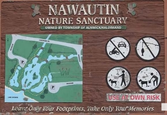 April 19, 2026 Nawautin Sanctuary1071