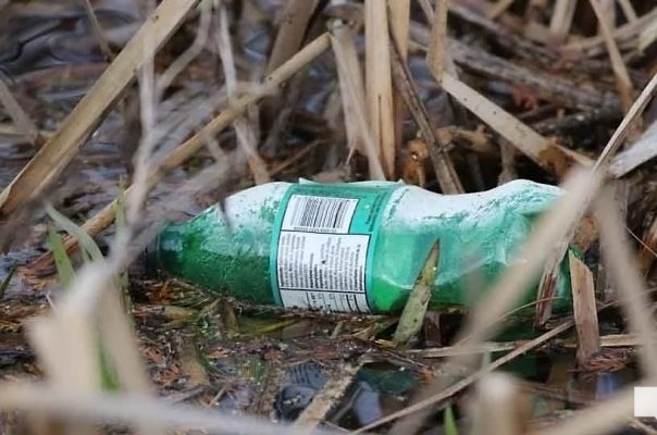 April 19, 2026 Nawautin Sanctuary1088