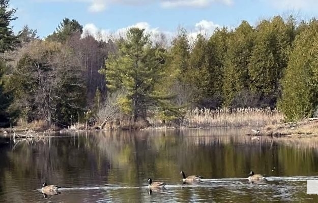 April 19, 2026 Nawautin Sanctuary1093.JPEG