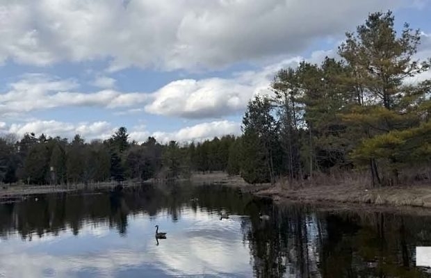 April 19, 2026 Nawautin Sanctuary1098.JPEG