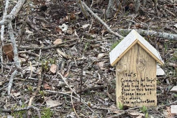 April 21, 2026 Beach Houses Fun Hunt1174