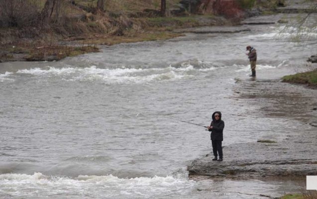 April 25, 2026 Ganaraska Fishing Trout1293