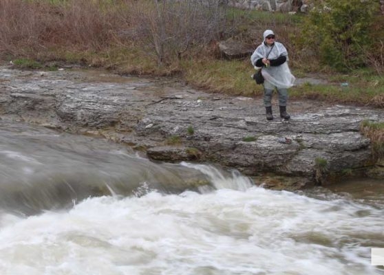 April 25, 2026 Ganaraska Fishing Trout1297
