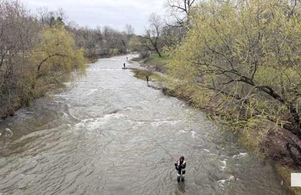 April 25, 2026 Ganaraska Fishing Trout1302