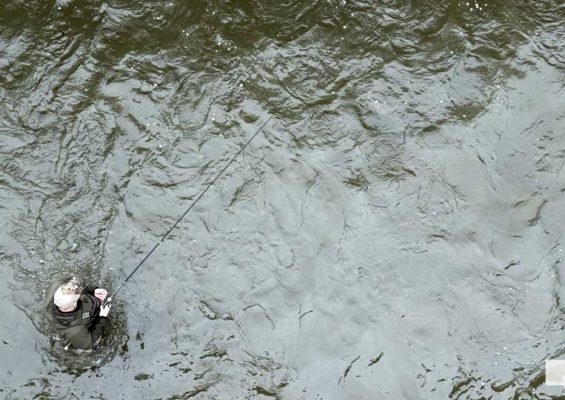 April 25, 2026 Ganaraska Fishing Trout1303