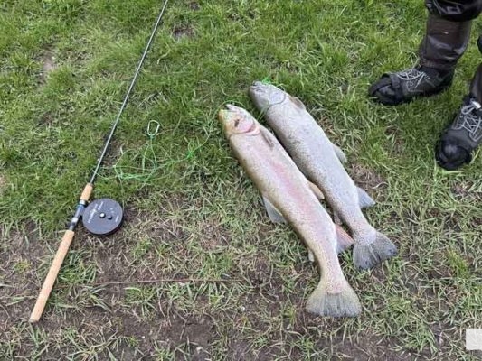 April 25, 2026 Ganaraska Fishing Trout1305