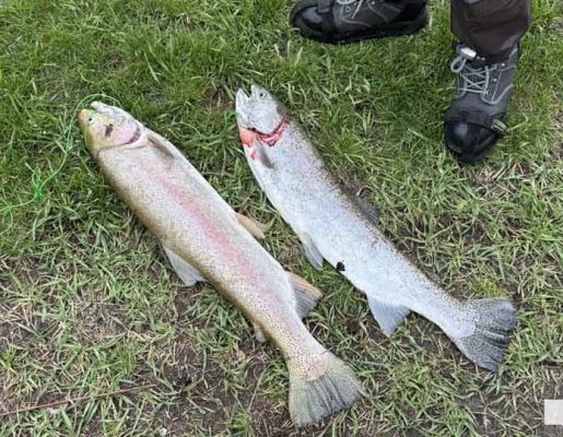 April 25, 2026 Ganaraska Fishing Trout1307