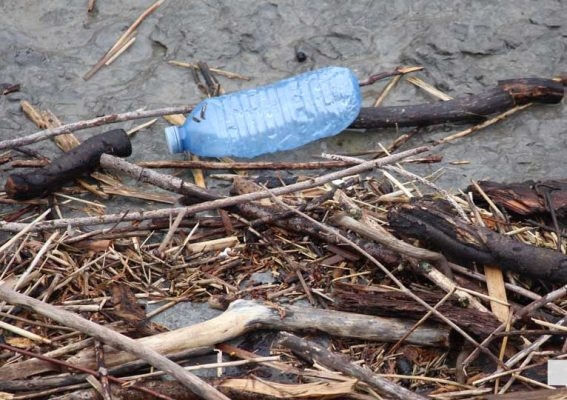 April 25, 2026 garbage ganny1317