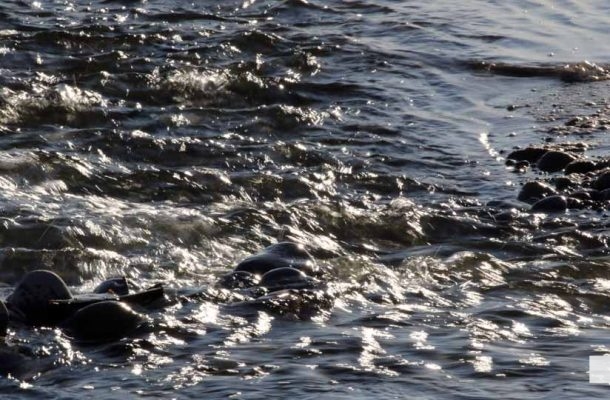 April 26, 2026 Nawautin water creek1479