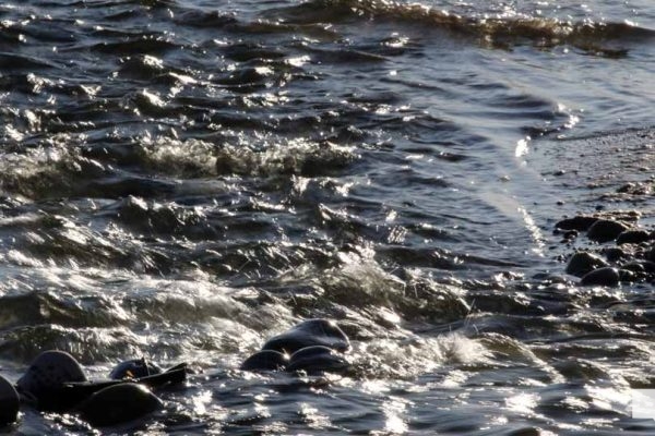 April 26, 2026 Nawautin water creek1480