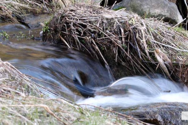 April 26, 2026 Nawautin water creek1482