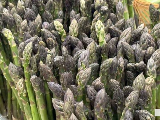 May 21, 2026 Community Health Centres of Northumberlands Community Food Market 782