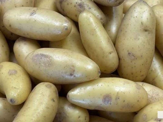 May 21, 2026 Community Health Centres of Northumberlands Community Food Market potato 786