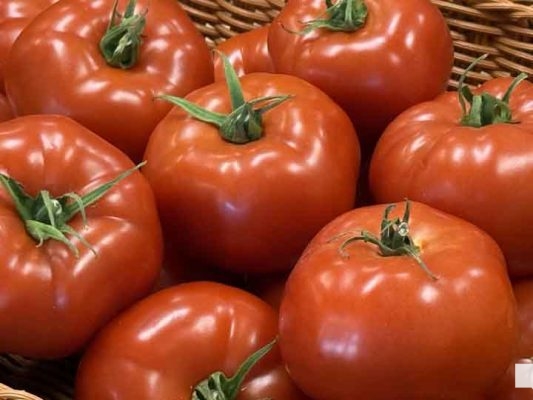 May 21, 2026 Community Health Centres of Northumberlands Community Food Market tomato 785