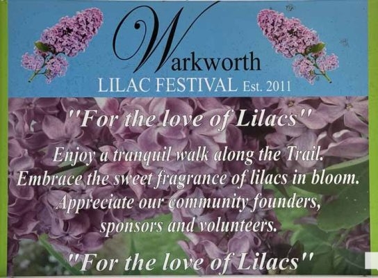 May 31, 2026 Lilac Festival Warkworth982.JPEG