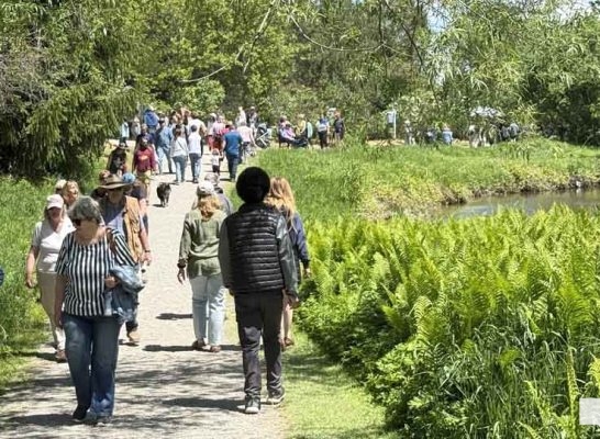 May 31, 2026 Lilac Festival Warkworth989.JPEG