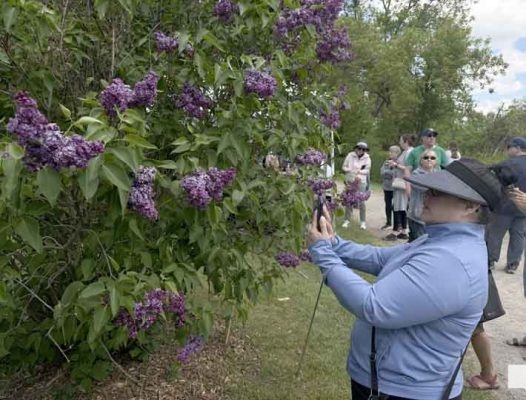 May 31, 2026 Lilac Festival Warkworth999.JPEG