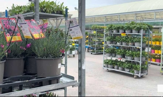 May 7, 2026 Canadian Tire Reopening 274