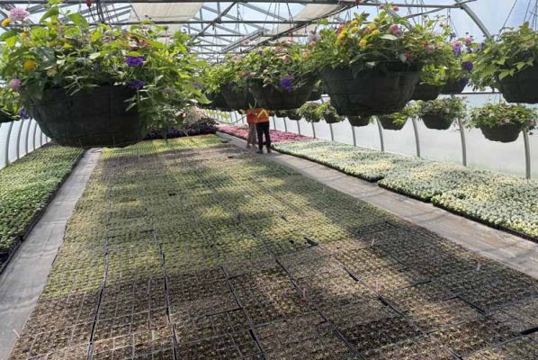 May 9, 2026 Cobourg Open House Greenhouse 430
