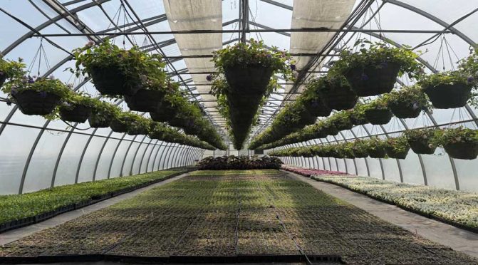 May 9, 2026 Cobourg Open House Greenhouse 435