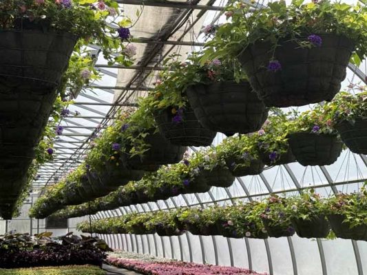 May 9, 2026 Cobourg Open House Greenhouse 436
