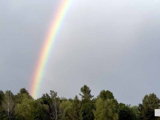June 13, 2026 Brighton Speedway Rainbow1546