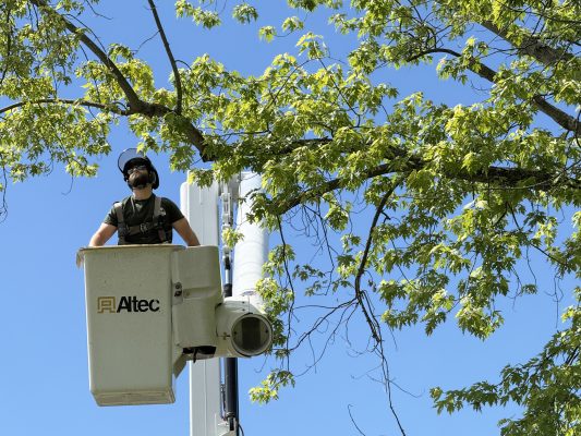 June 20, 2026 Trees1849