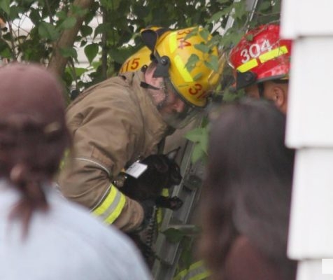 June 24, 2026 rescuing cat from tree1971