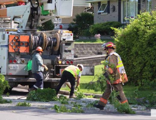June 6, 2026 Tree on Hydro Wires Cobourg1299